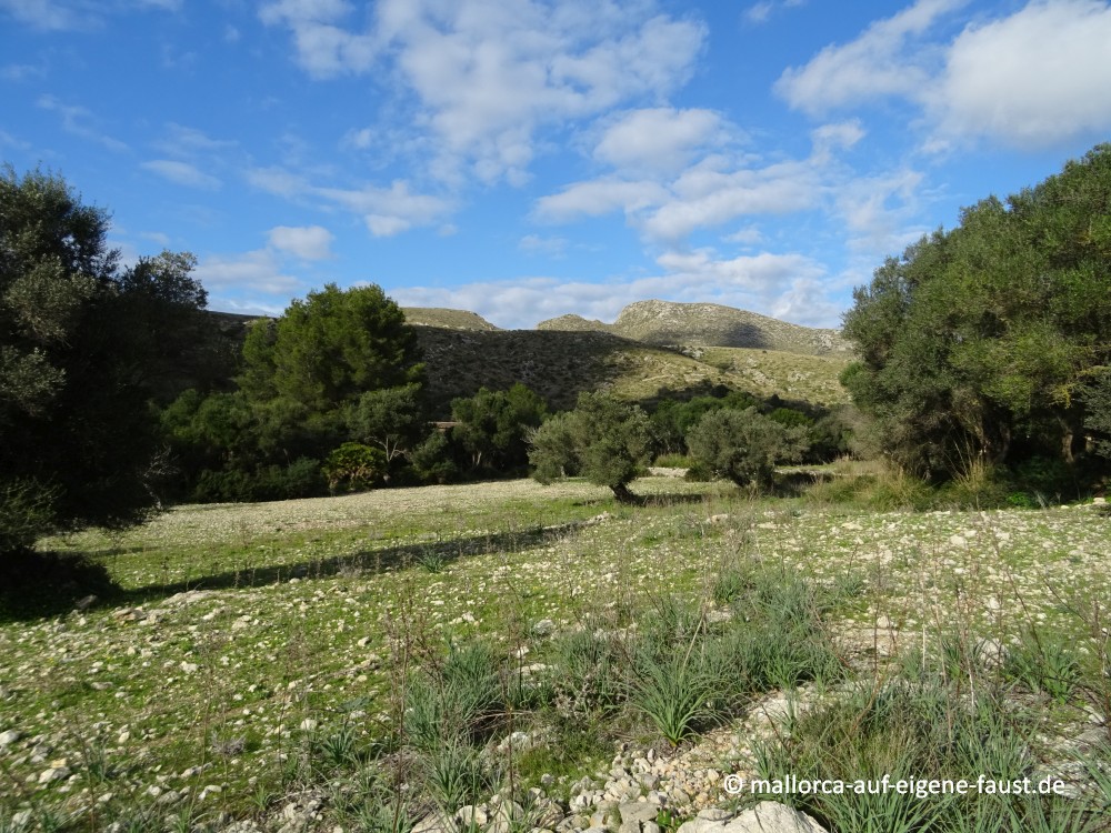 Landschaft am Wanderweg, Parc Natural de la Península de Llevant im Nordosten Mallorcas