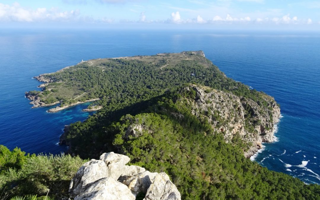 Halbinsel La Victoria – felsiges Naturparadies im Norden Mallorcas